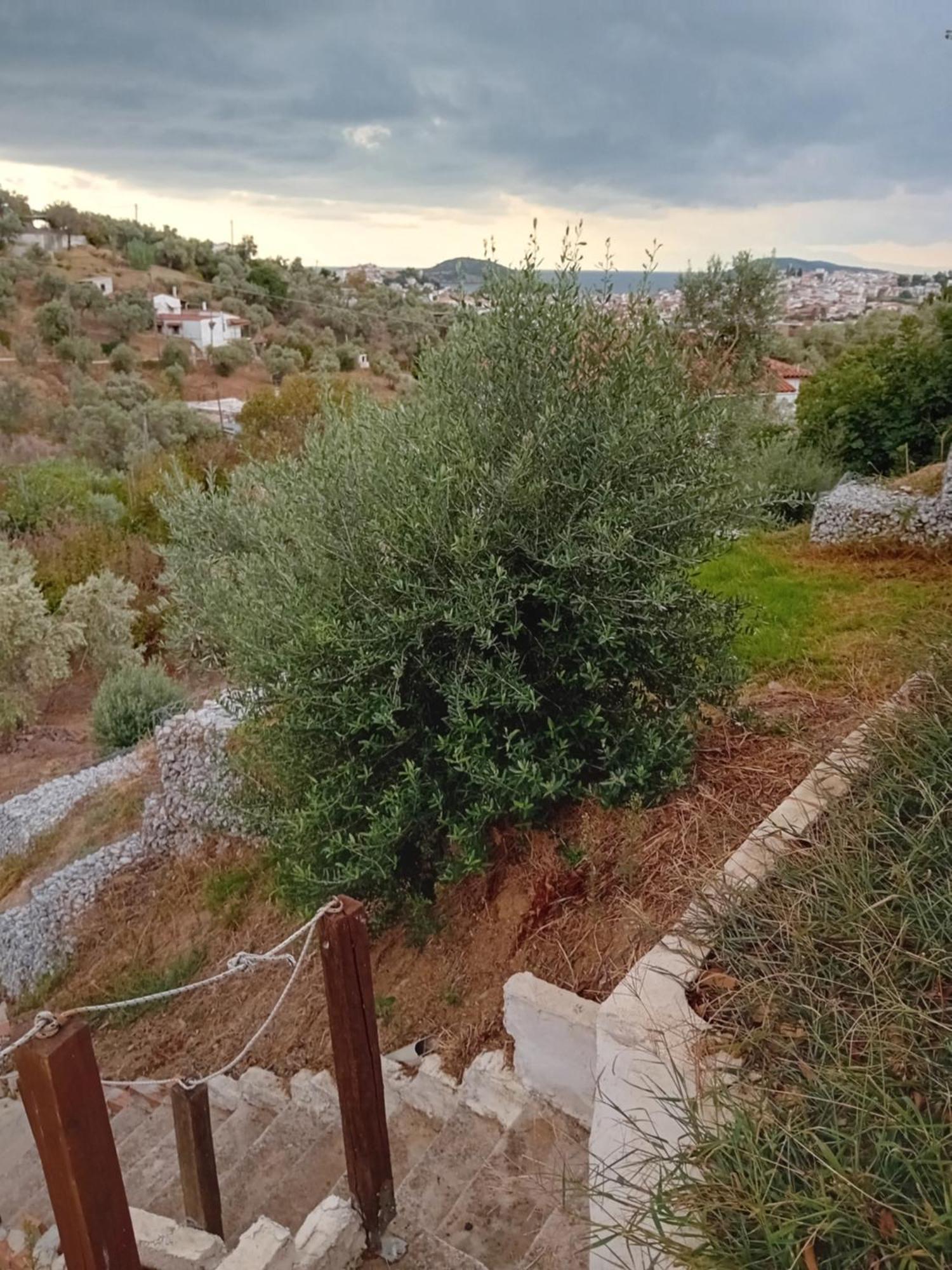 Villa Krini Skiathos Town Exterior foto